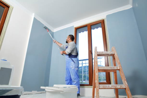 Best Mold Removal for HVAC Installations  in Hot Springs, SD