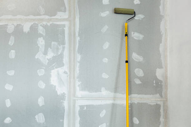 Best Water Damage & Mold Remediation  in Hot Springs, SD