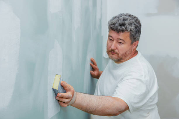 Best Industrial Mold Remediation  in Hot Springs, SD